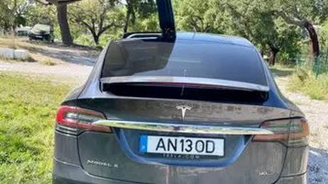 Tesla Model X • 2017 • 181,000 km