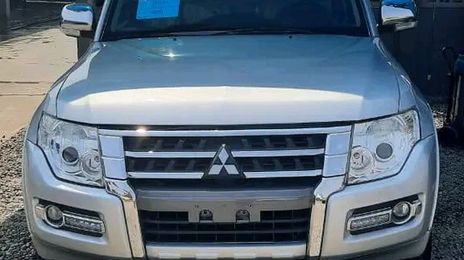 Mitsubishi Pajero • 2017 • 34 km