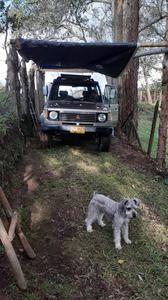 Mitsubishi Pajero • 1991 • 320,000 km