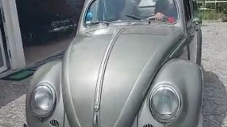 Volkswagen Beetle • 1956 • 90,000 km