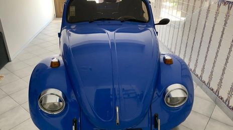 Volkswagen New Beetle • 1972 • 78,000 km