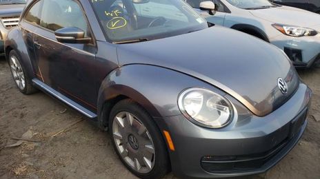 Volkswagen Beetle • 2014 • 10,000 mi