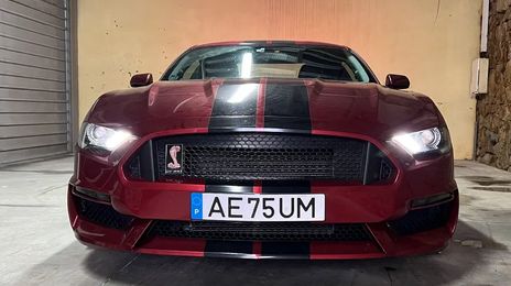 Ford Mustang • 2019 • 12,132 km