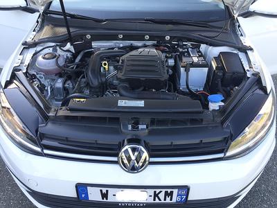 Volkswagen Golf • 2018 • 17,500 km