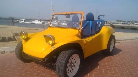 Volkswagen Beetle • 1967 • 5,000 km