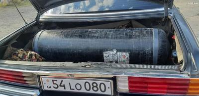 Mercedes-Benz C • 1978 • 100,000 km