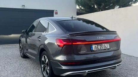 Audi e-tron Sportback • 2010 • 55,000 km