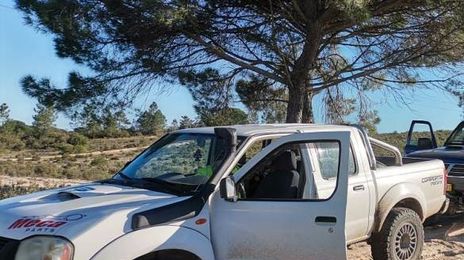 Nissan Pickup • 2002 • 40,000 km