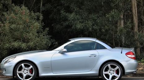 Mercedes-Benz SLK • 2004 • 225,000 km