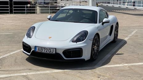 Porsche Cayman • 2015 • 250,000 km