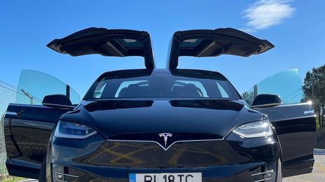 Tesla Model X • 2019 • 113,000 km