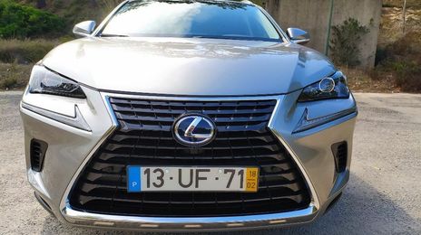 Lexus NX • 2018 • 35,000 km