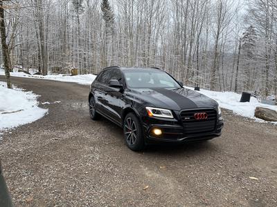 Audi SQ5 • 2017 • 55,000 km