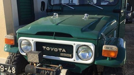 Toyota FJ Cruiser • 1980 • 11,000 km