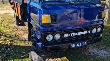Mitsubishi Fuso canter • 1998 • 98,000 km