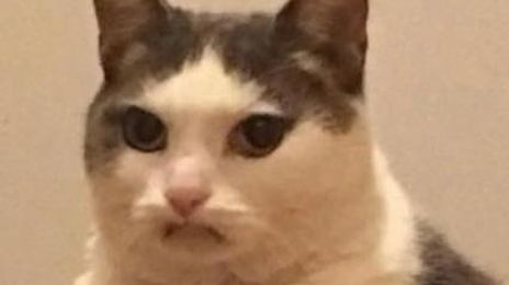 Audi A2 • 2021 • 5,487,548 km