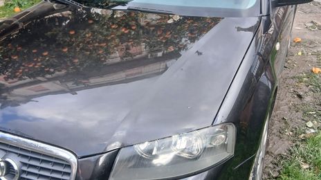 Audi A3 Sportback • 2007 • 355,000 km