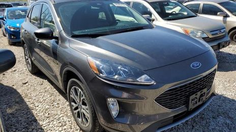 Ford Escape • 2020 • 10,000 mi
