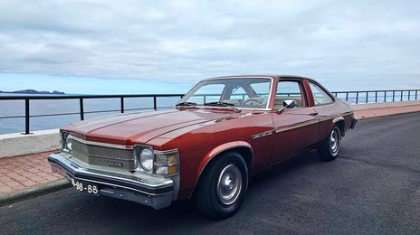 Buick Skylark • 1976 • 110,000 km