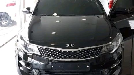 Kia K5 • 2019 • 11,065 km