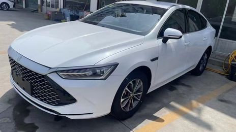 BYD All New F3 • 2025 • 100 km