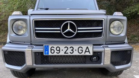 Mercedes-Benz G-Class • 1995 • 290,000 km