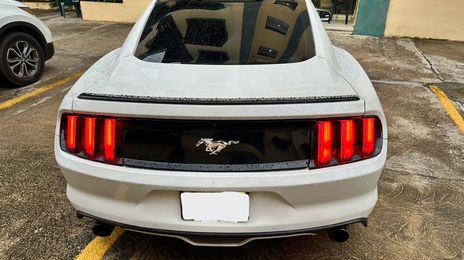 Ford Mustang • 2016 • 10,000 km