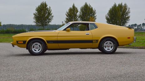 Ford Mustang • 1973 • 112,500 km