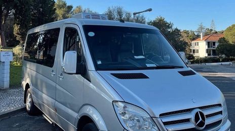 Mercedes-Benz 210 Van • 2010 • 250,000 km