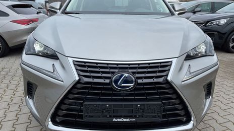 Lexus NX • 2019 • 116,873 km