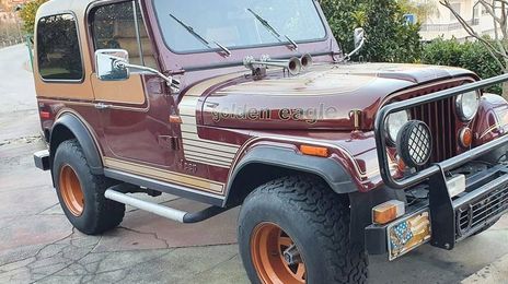 Jeep Pajero • 1980 • 80,000 km