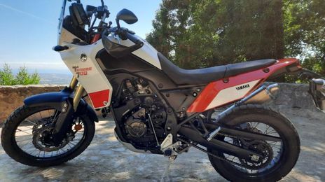 Yamaha xt660z • 2019 • 7,500 km