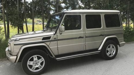 Mercedes-Benz G-Class • 2002 • 227,000 km
