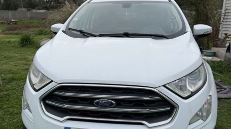 Ford EcoSport • 2019 • 75,000 km