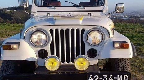 Jeep Renegade • 1982 • 179,999 km