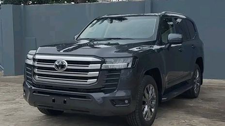 Toyota Land Cruiser • 2019 • 54 km