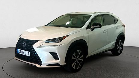 Lexus NX • 2021 • 53,000 km