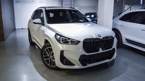 BMW X1 • 2024 • 4,100 km