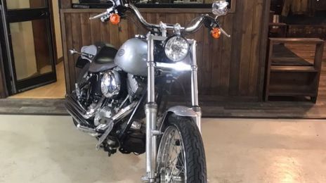 Harley Davidson flstn softail • 2002 • 52,000 km