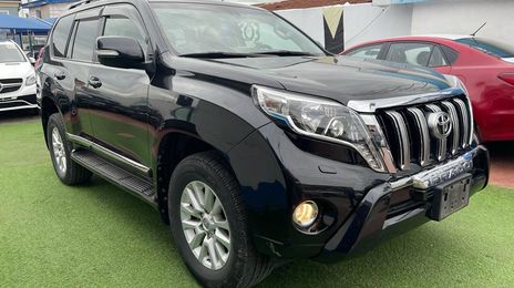 Toyota Land Cruiser • 2012 • 21 km