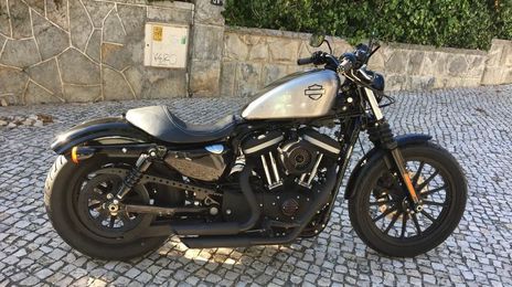 Harley Davidson xl883 • 2009 • 1,000 km