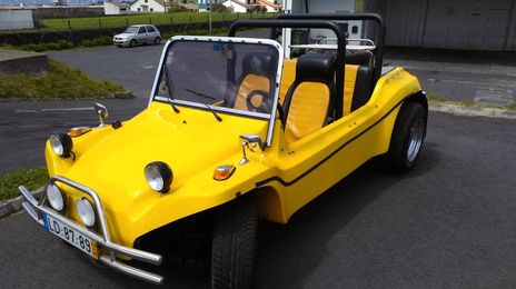 Volkswagen New Beetle Cabrio • 1980 • 50,000 km