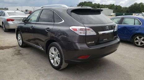 Lexus RX 400h • 2020 • 44,601 km