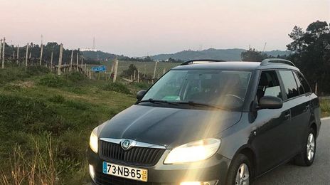 Škoda Fabia • 2012 • 249,999 km