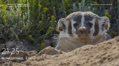 Volkswagen Golf • 1998 • 241,500 km