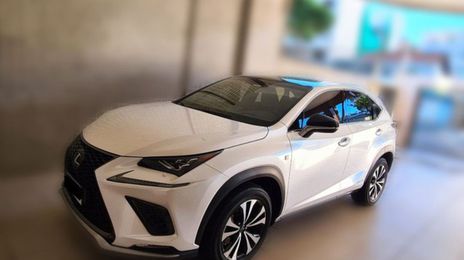 Lexus NX • 2019 • 32,000 km