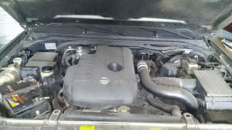 Nissan Navara • 2008 • 209,000 km