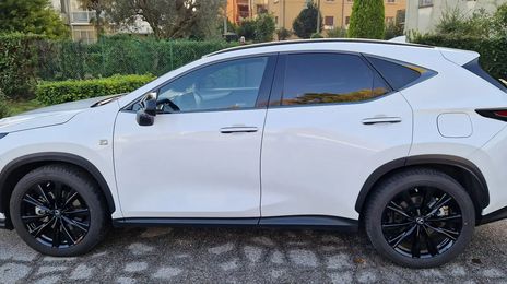 Lexus NX • 2022 • 30,000 km