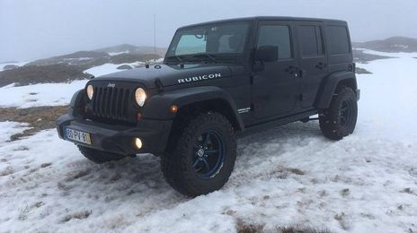 Jeep Renegade • 2015 • 130,000 km