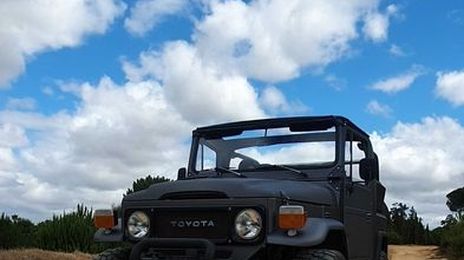 Toyota Belta • 1980 • 90,000 km